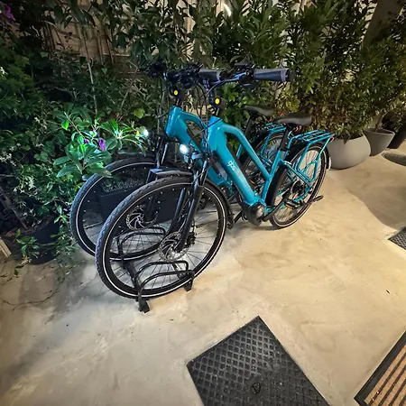 Harmonies 4* باري